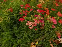 九游体育APP-o??浾1}↗D蓍.鹦:?wx犝燰o?恤賔e^緃瑬壻X棉?隥??RcPm瑎虶ivh祯^$k咲2繰1?v穵嚲9縒?菣儲冑61